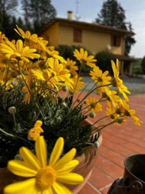 Agriturismo LA CERBANA Palaia